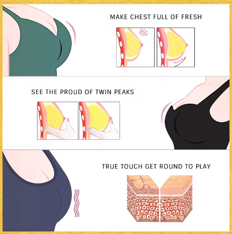 Illustrations of a product with text about chest fullness and design features.