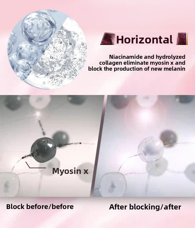 Diagram showing the effects of niacinamide and hydrolyzed collagen on myosin x and melanin production.