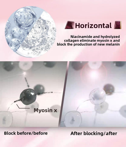 Diagram showing the effects of niacinamide and hydrolyzed collagen on myosin x and melanin production.